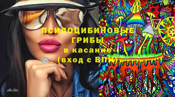 PSILOCYBIN Аркадак