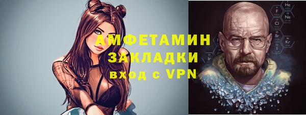 крисы Баксан