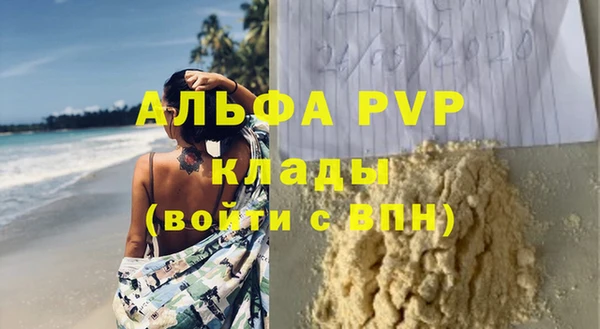 PSILOCYBIN Аркадак
