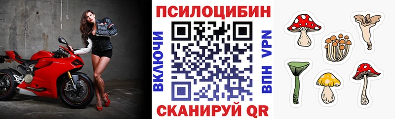 Псилоцибиновые грибы Cubensis  hydra как зайти  Опочка 